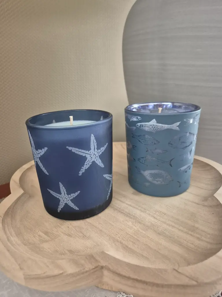 Bougie Mer M étoile de mer 