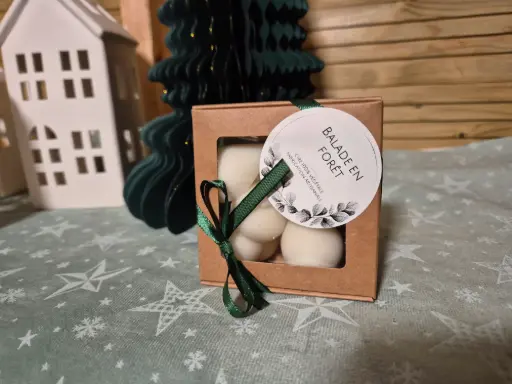 Fondant Goutte Balade en Forêt